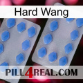 Hard Wang 20